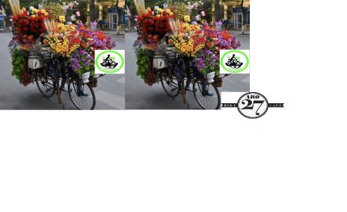 bicicleta flores pedal verde 2